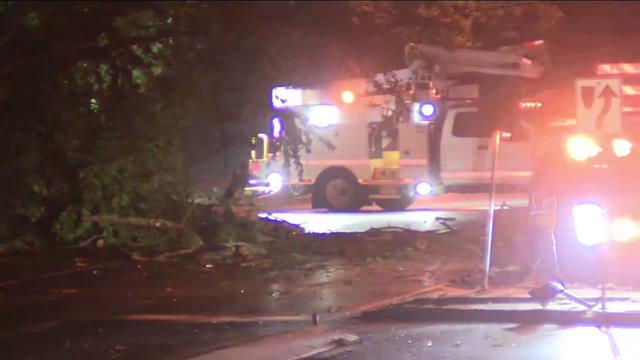 79-year-old woman killed after tree falls in New Castle County