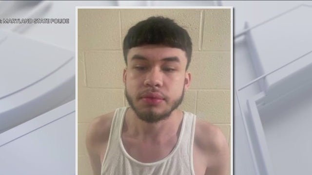 Man, 19, arrested in Maryland after illegal car meetup following Eagles Super Bowl parade