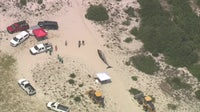 Whale that died after colliding with boat in NJ had little in its stomach, external injuries