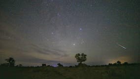 Summer's best meteor shower peaks this week: How and when to watch