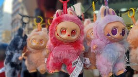 Fake Labubu dolls pose risk of choking, death for children: officials