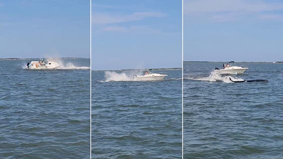 Whale dies after getting hit by boat, knocking passenger overboard in Barnegat Bay