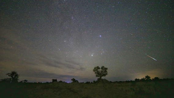 Summer's best meteor shower peaks this week: How and when to watch