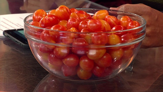 Scarlet Sunrise: New grape tomato developed by researchers at Rutgers University