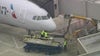 American Airlines plane returns to Philadelphia International Airport after striking birds