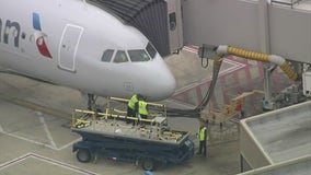 American Airlines plane returns to Philadelphia International Airport after striking birds