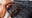 Pennsylvania man used 'innocent vacation photos' to A.I. generate explicit images of children: DA