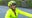 FOX 29 viewers gift 10-year-old bike and helmet after brutal hit-and-run