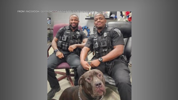 Deptford police officers go viral while reuniting missing dogs with owners