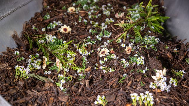 NJ legalizes human composting, allowing remains to become soil