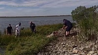 Officer braves cold waters to save dog in Atlantic City