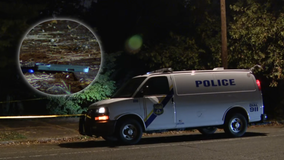 2 men shot execution-style, hands zip-tied in Philadelphia double homicide: Police