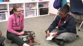 New pet therapy program launched at Philadelphia Performing Arts: A String Theory Charter School