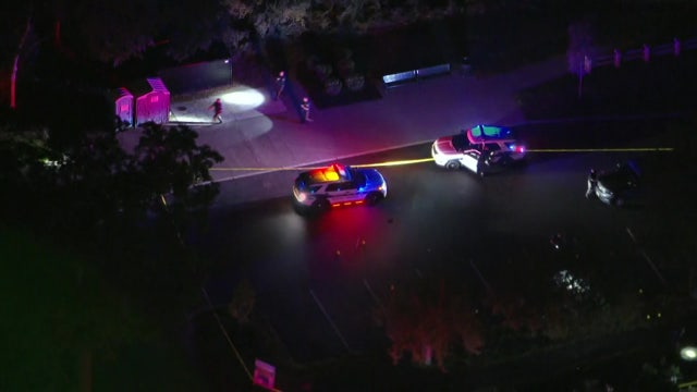 16-year-old critical after shooting at Camden County park: police