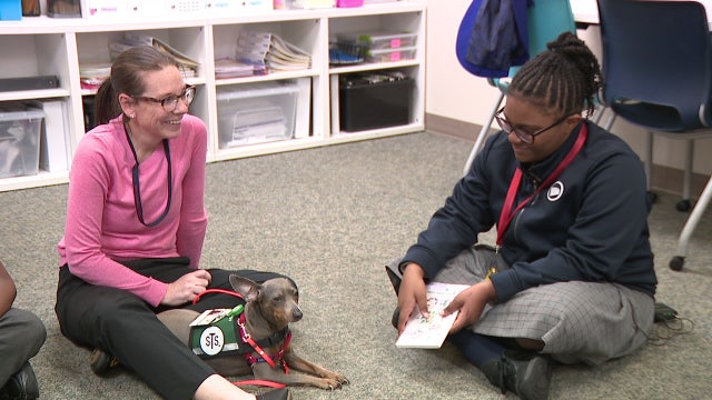New pet therapy program launched at Philadelphia Performing Arts: A String Theory Charter School