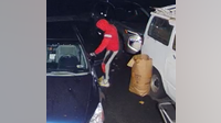 Suspects sought for multiple thefts from vehicles in Upper Chichester: police