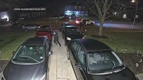 Group sought in series of car burglaries in Gloucester County: police