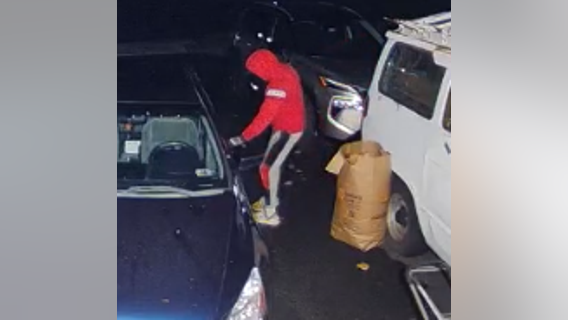 Suspects sought for multiple thefts from vehicles in Upper Chichester: police