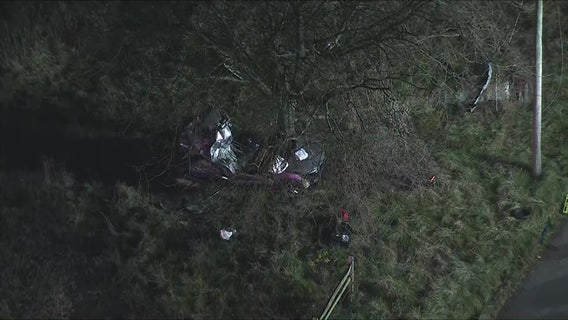 3 dead after car crashes into tree during police chase through Chester County