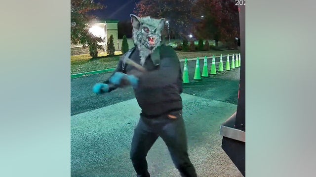 Suspect wearing wolf mask arrested for robbery in Woodbury: police