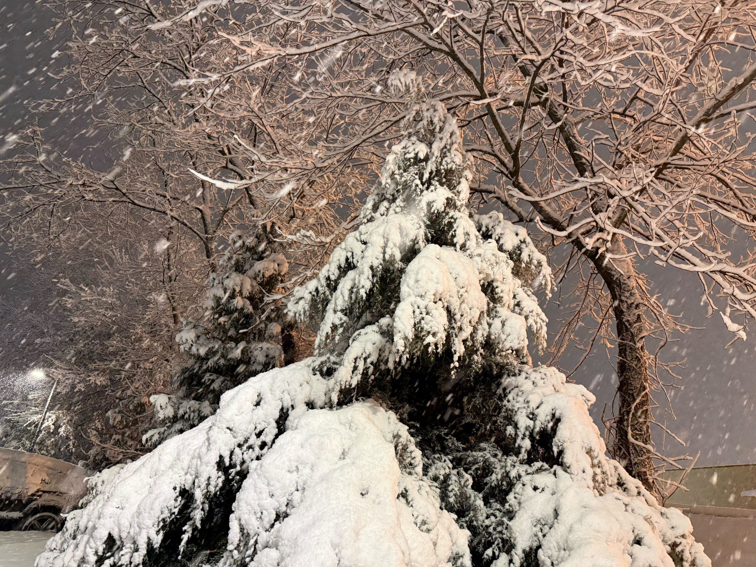 How much snow fell on Sunday? Totals for Philadelphia area