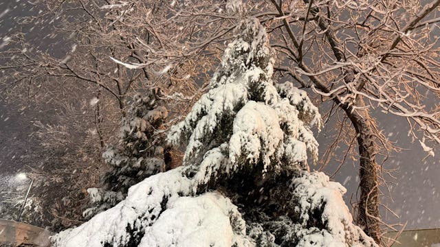 How much snow fell on Sunday? Totals for Philadelphia area