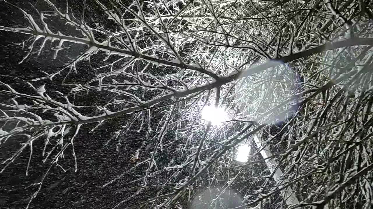 Philadelphia schools, courts to close Monday as winter storm approaches