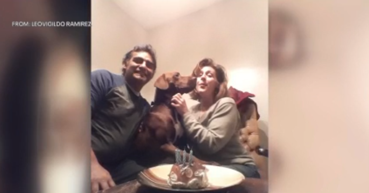 Microchip helps Wisconsin man find lost dog in Philadelphia after 4 years