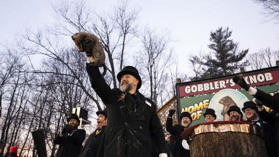 Groundhog Day 2026: What time will Punxsutawney Phil come out?