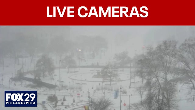 Live cameras: Watch as the snow falls