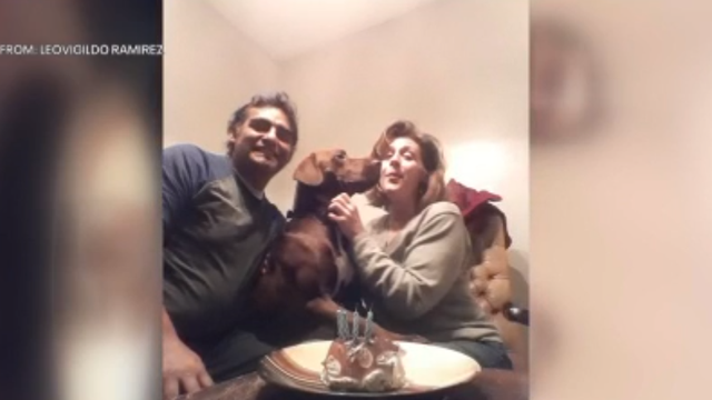 Microchip helps Wisconsin man find lost dog in Philadelphia after 4 years