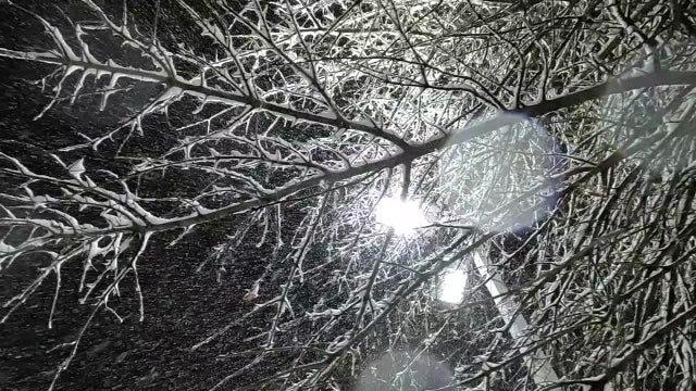 Philadelphia schools, courts to close Monday as winter storm approaches