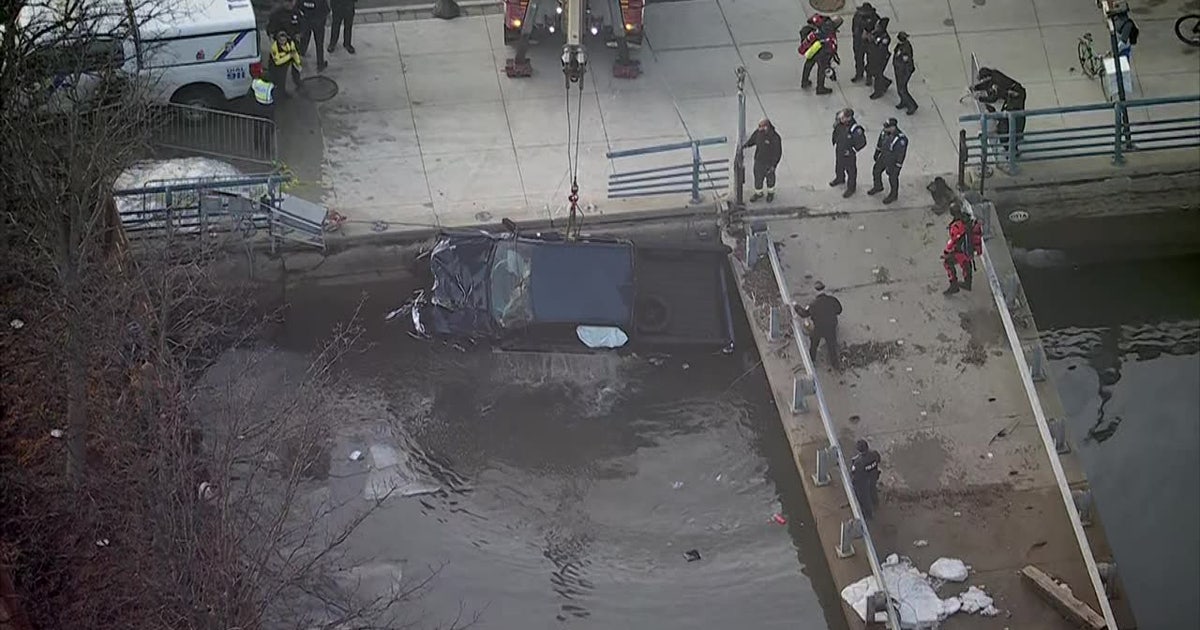 Driver survives after truck plunges into Delaware River: police