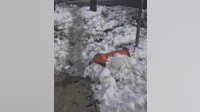 West Philadelphia residents raise concerns over damaged hydrants after snow