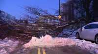 Philadelphia blizzard aftermath: Crews work to clear fallen trees, debris