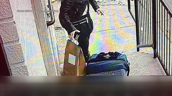 Nursing cat abandoned outside Fishtown Animal Hospital; kittens missing