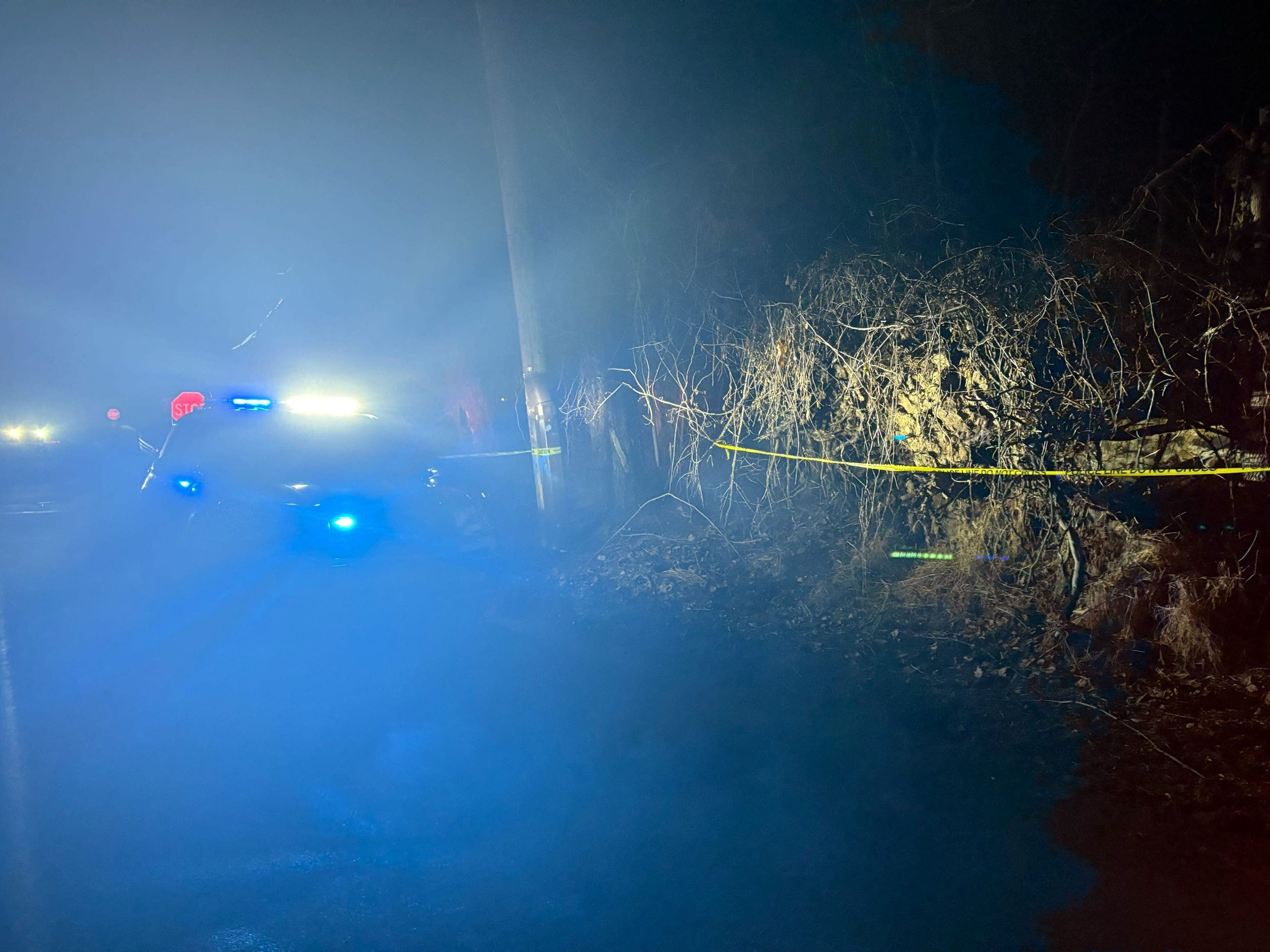 Human remains found at Ridley Creek State Park