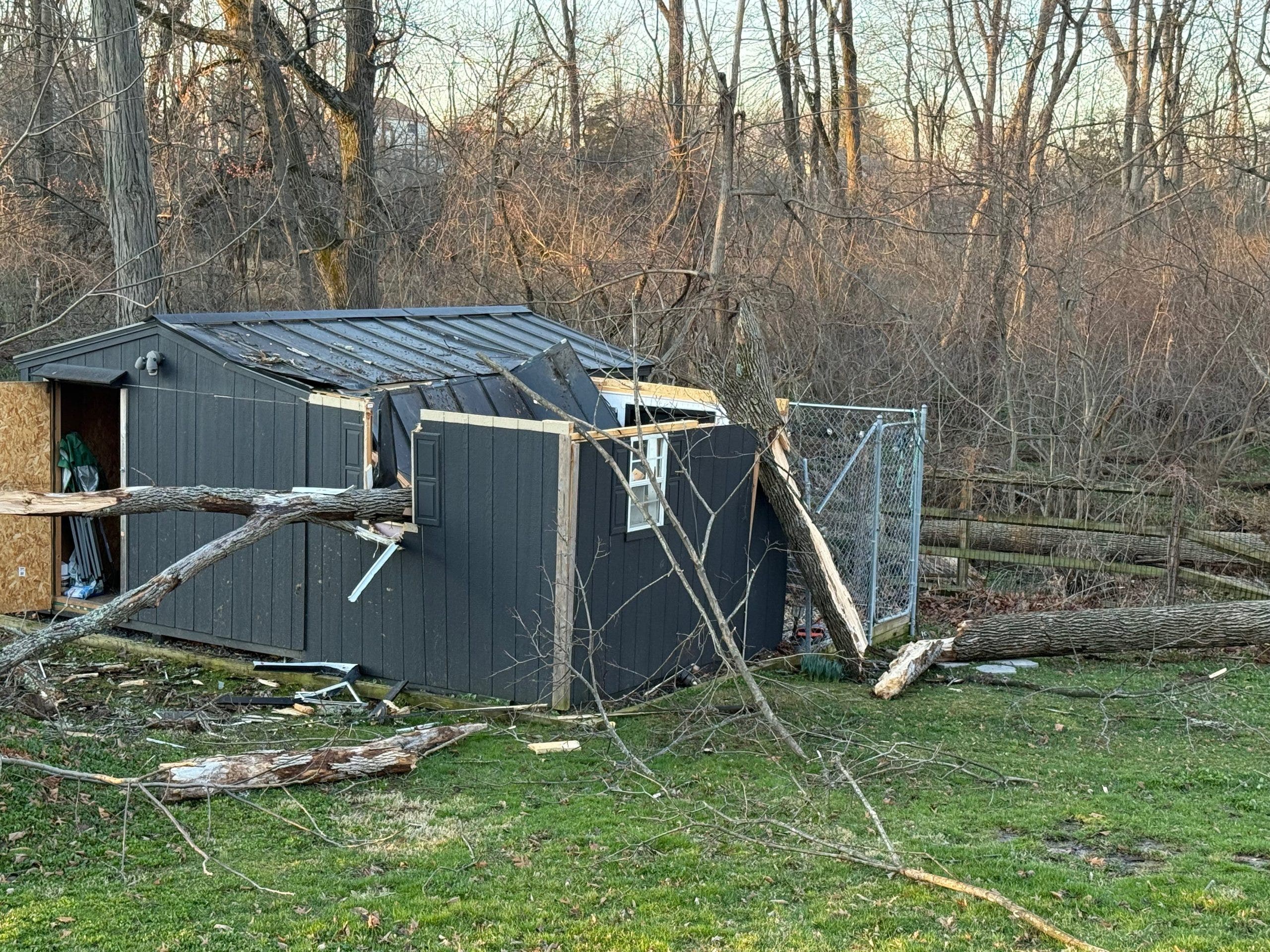 Norristown dog rescue’s kennel destroyed by storm, halting emergency animal care