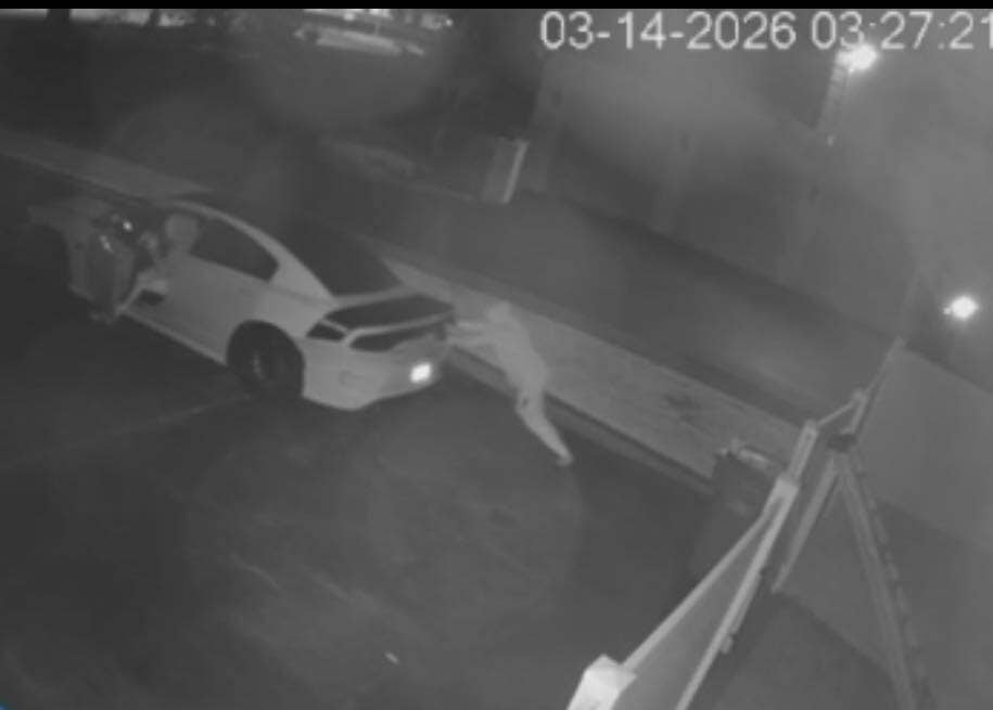 Armed suspects steal Dodge Charger from Washington Township driveway: police