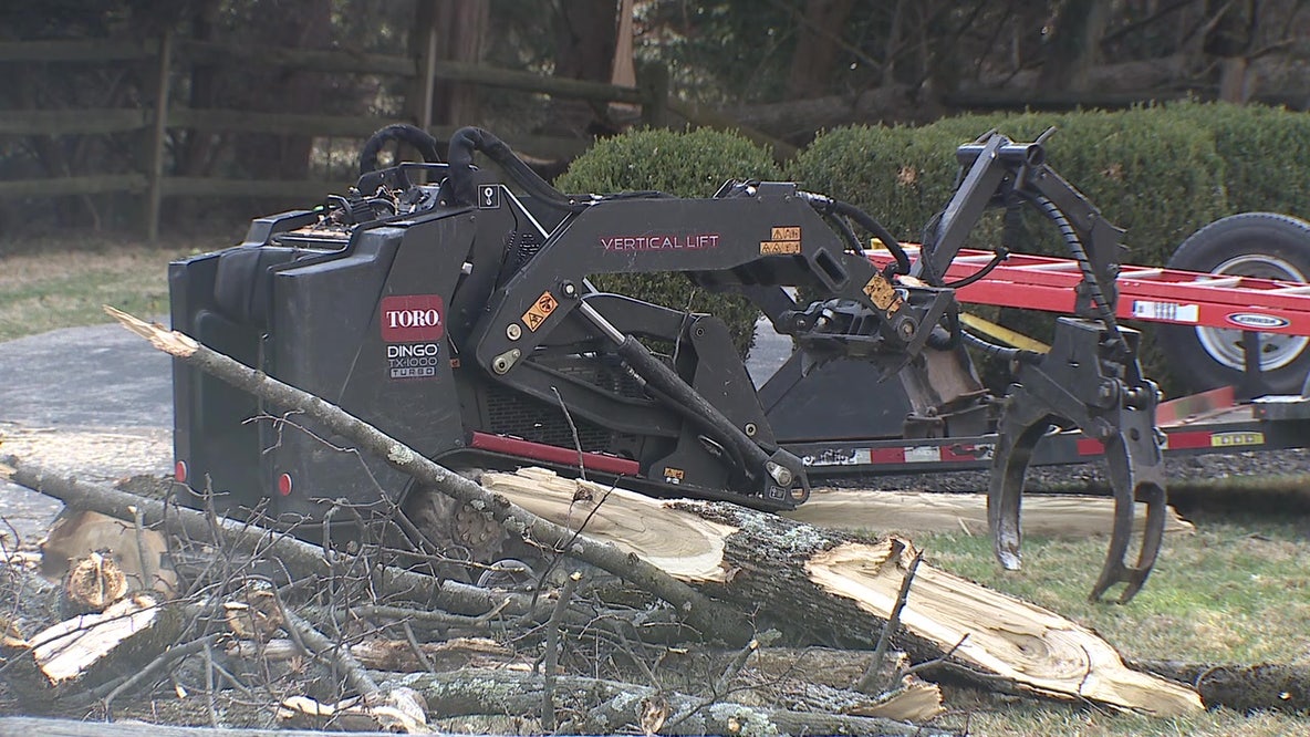 Tree company worker killed by falling tree during storm cleanup in Newtown Square