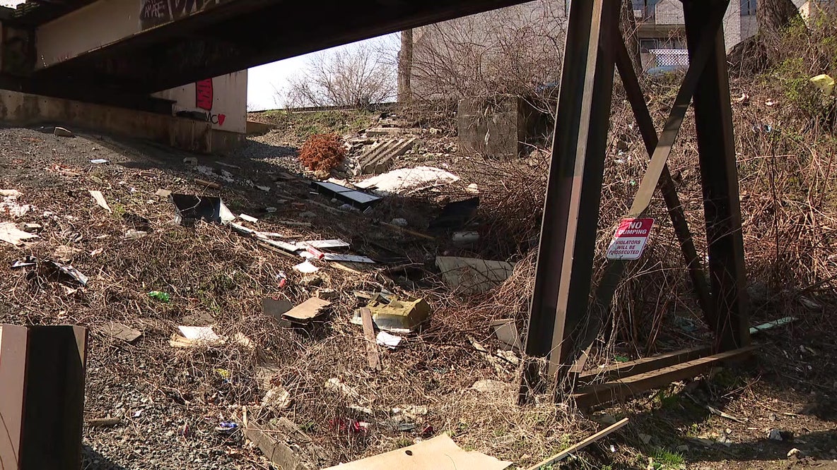 City teams with other companies, non-profits to clean up illegal dumping site at Pennypack Park