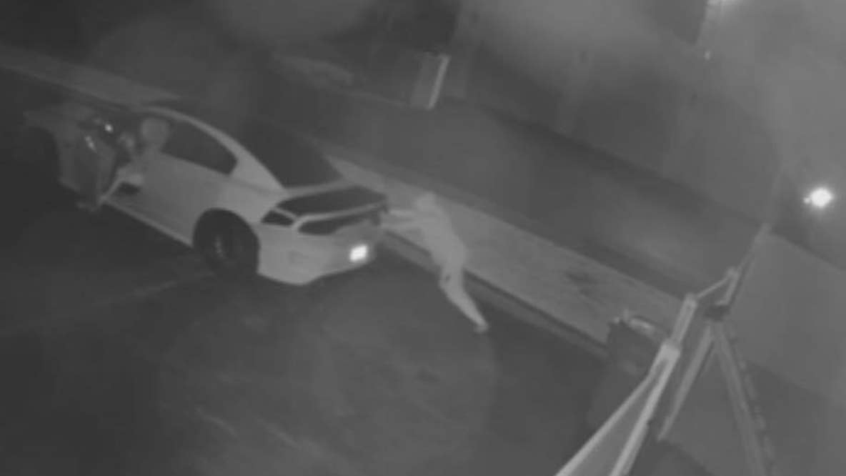 Armed suspects steal Dodge Charger from Washington Township driveway: police