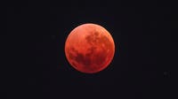 Total lunar eclipse visible in Philly area Tuesday morning: When and how to watch