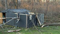 Norristown dog rescue’s kennel destroyed by storm, halting emergency animal care