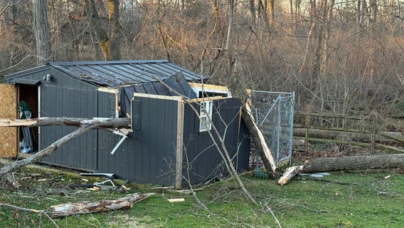 Norristown dog rescue’s kennel destroyed by storm, halting emergency animal care