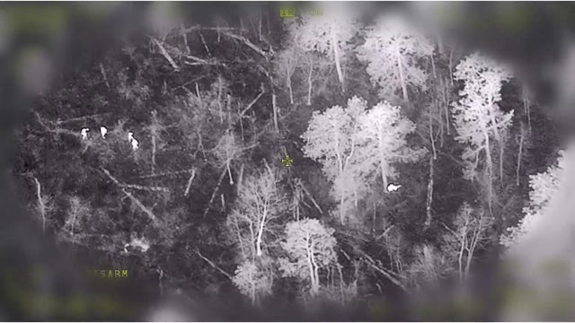 Missing autistic teen found safe in Egg Harbor Township woods after multi-agency search