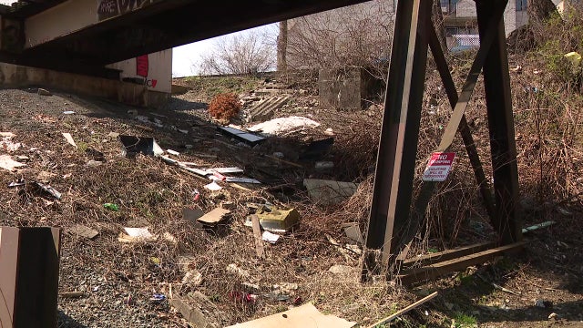 City teams with other companies, non-profits to clean up illegal dumping site at Pennypack Park