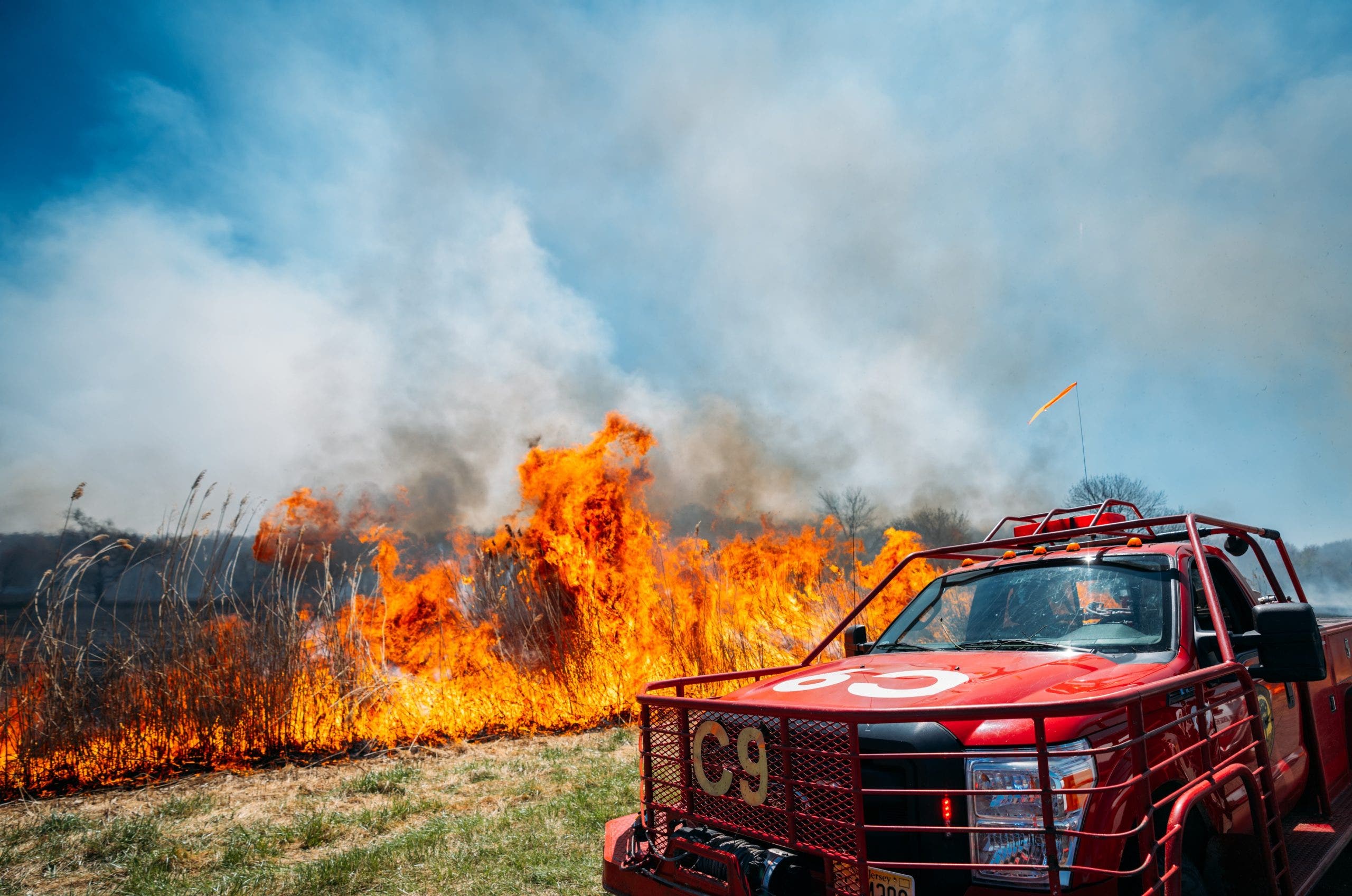 Massive wildfire burning in South Jersey grows to 50 acres, 40% contained