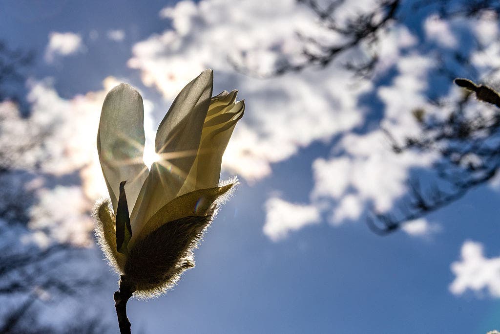 What day will it feel most like spring in the Philadelphia area?