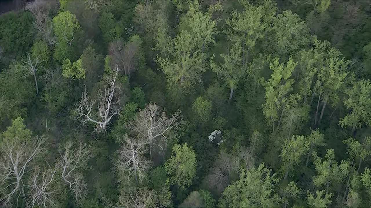 Human skeletal remains found in woods near Wissahickon Creek: police